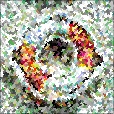 Variation 3