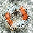Variation 7