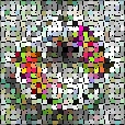 Variation 8