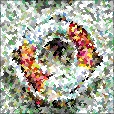 Variation 3