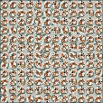 Variation 4