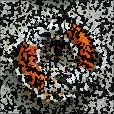 Diffuse Map