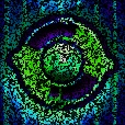 Variation 7