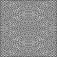 Bump Map