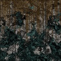 Lichen