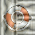 Diffuse Map