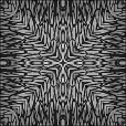 Bump Map