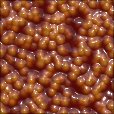 Variation 4