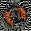 Magnatism