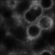 Bump Map