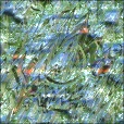 Variation 8