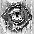 Bump Map