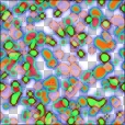 Variation 7