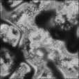 Bump Map