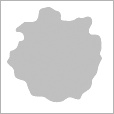 SpecExponent Map