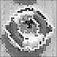 Bump Map