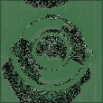 Diffuse Map