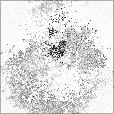 Metallic Map