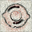 Variation 5