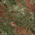Variation 1