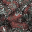 Diffuse Map