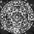 Bump Map