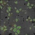Diffuse Map