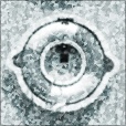 Diffuse Map