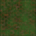 Mossy Walls