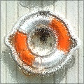 Foxxee's Texture Trauma