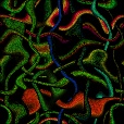Diffuse Map