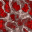 Diffuse Map