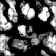SpecStrength Map