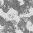 Bump Map