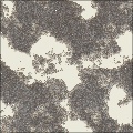 WallDamage