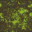Diffuse Map