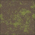 Mossy Dirt