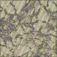 Variation 4