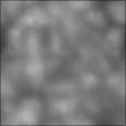 Bump Map