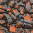 Variation 7