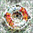 Variation 1