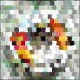 Variation 8