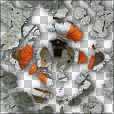 Variation 1