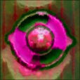 Variation 5