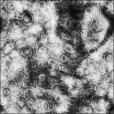 Bump Map