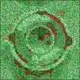 Variation 3