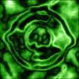Variation 5