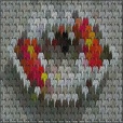 Variation 1