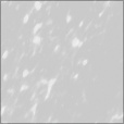 Bump Map