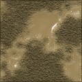 muddy_waters_1.1